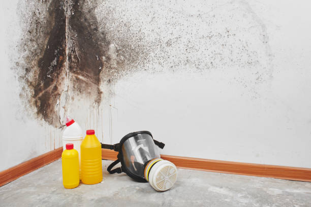 Best Residential Mold Removal  in Harrisburg, PA