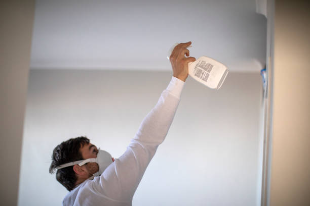 Best Mold Testing and Removal  in Harrisburg, PA